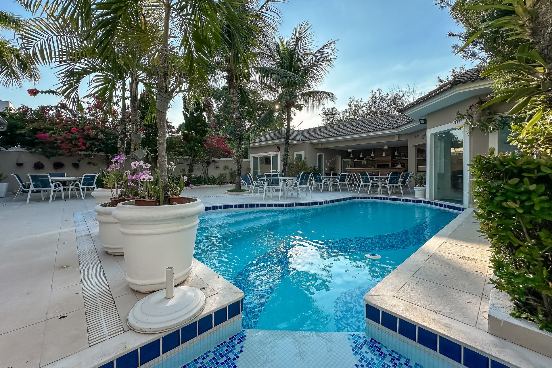 Piscina com palmeiras